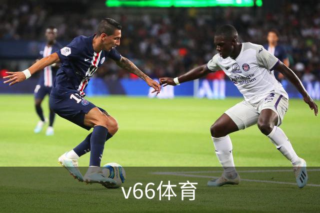 v66体育